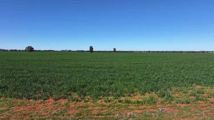 "Glen Wilga" 1027 Wollarma Road, Goolgowi NSW 2652