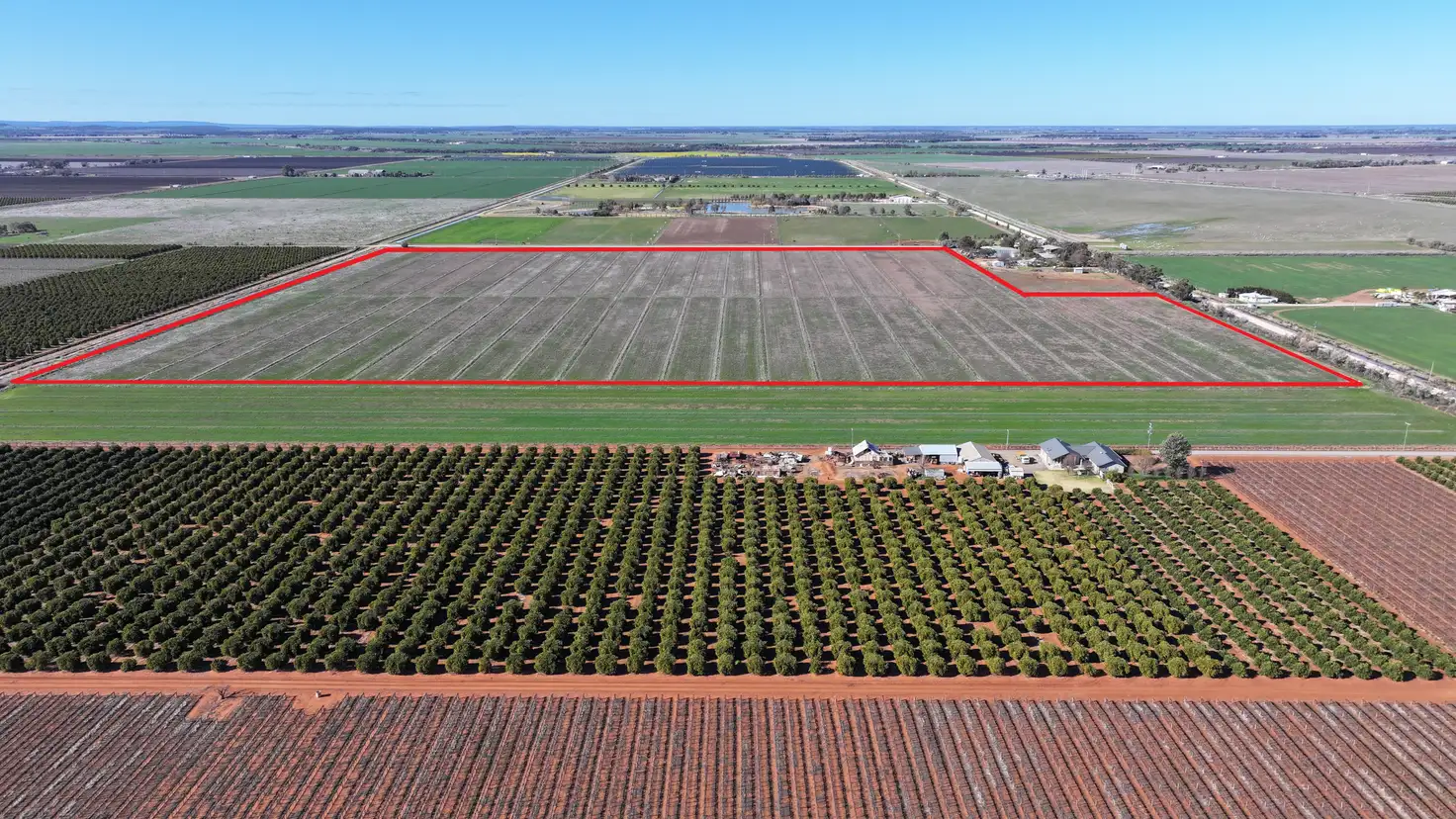 Main view of Homely rural property listing, Lot 1/DP 1309984 Ross Road, Yoogali NSW 2680