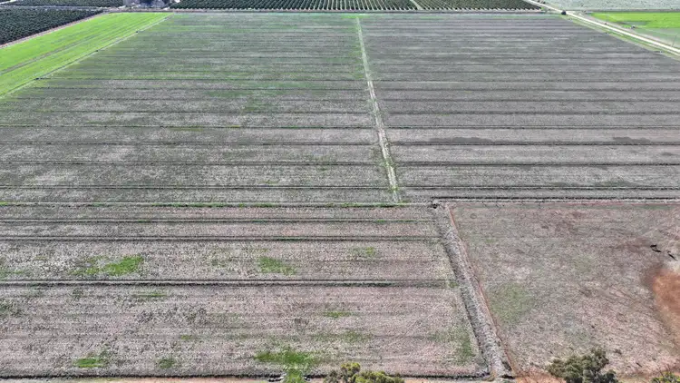 Sixth view of Homely rural property listing, Lot 1/DP 1309984 Ross Road, Yoogali NSW 2680