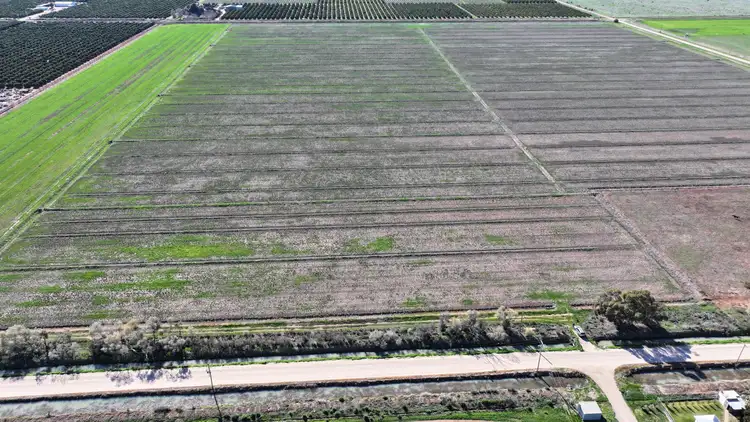 Seventh view of Homely rural property listing, Lot 1/DP 1309984 Ross Road, Yoogali NSW 2680