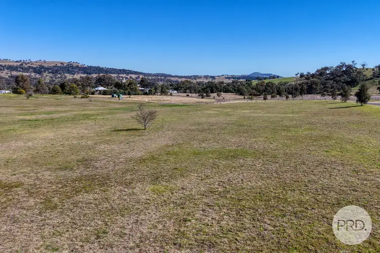 Third view of Homely land listing, 6 Raphie Howard Drive, Willow Tree NSW 2339