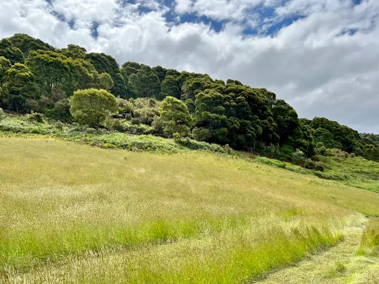 Third view of Homely land listing, 29731 Tasman Highway, Weldborough TAS 7264
