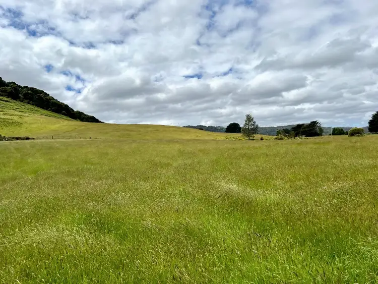Fifth view of Homely land listing, 29731 Tasman Highway, Weldborough TAS 7264