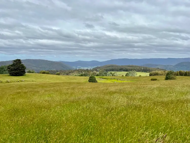 Seventh view of Homely land listing, 29731 Tasman Highway, Weldborough TAS 7264