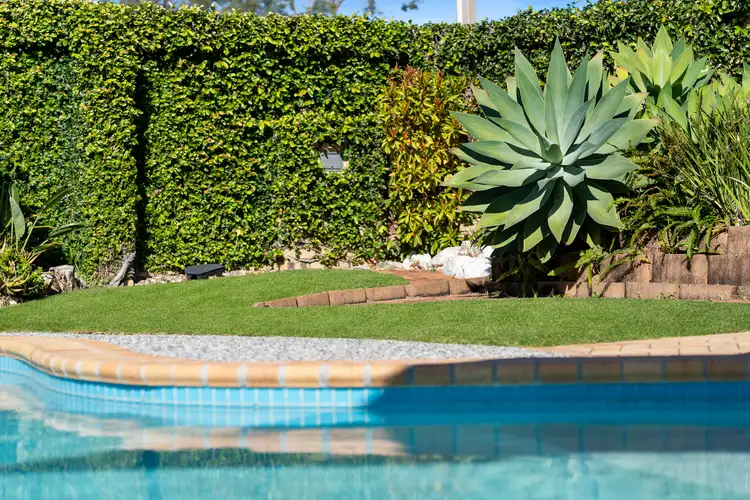 Sixth view of Homely house listing, 12 Champagne Crescent, Thornlands QLD 4164