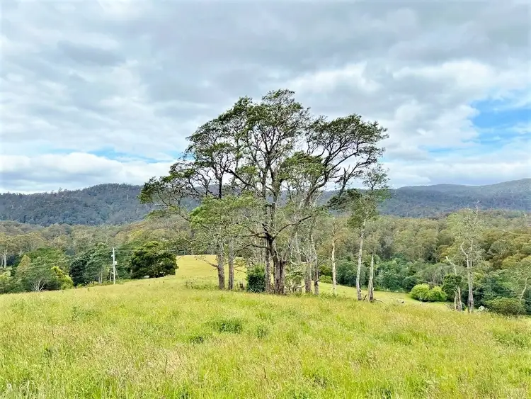 Sixth view of Homely land listing, LOT 2, Part of 116680 Tasman Highway, Weldborough TAS 7264