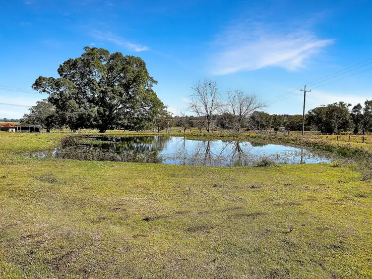 Fourth view of Homely rural property listing, 955 Spring Grove Road, Spring Grove NSW 2470