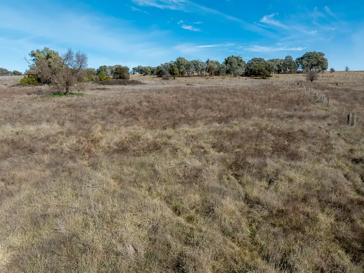Sixth view of Homely land listing, 10 Speedy Street, Molong NSW 2866