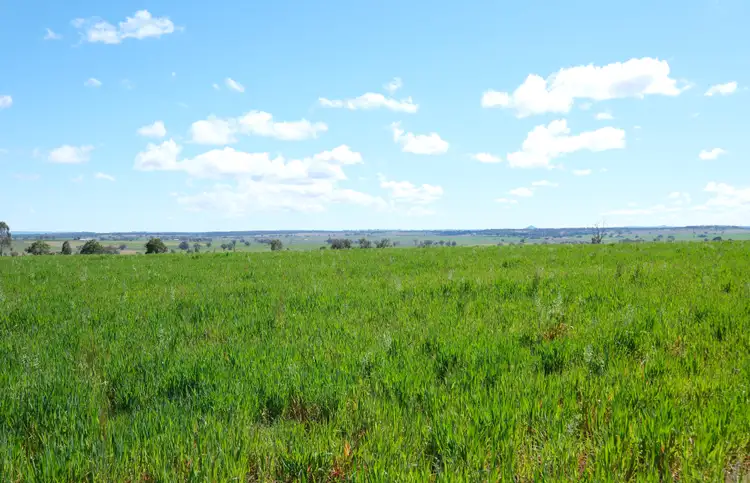 154 Delungra Bypass Road, Inverell NSW 2360
