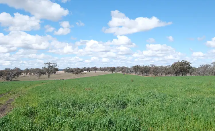 Second view of Homely rural property listing, 154 Delungra Bypass Road, Inverell NSW 2360