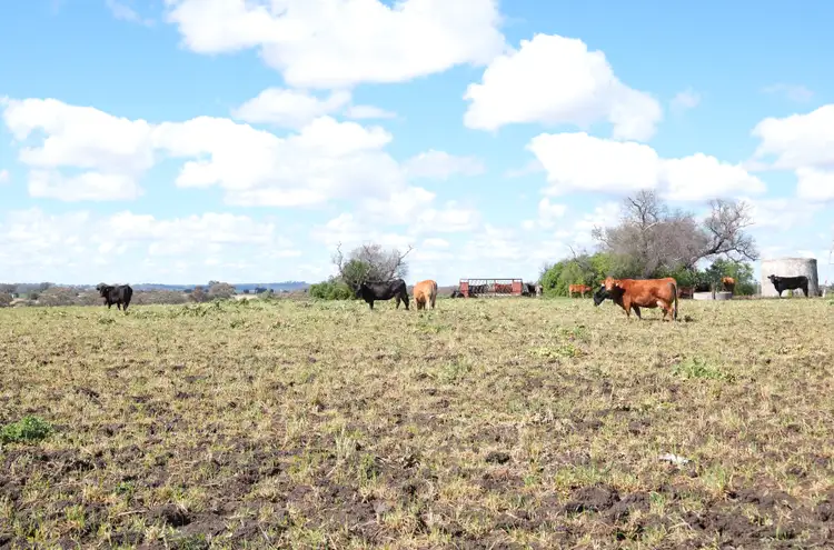 Fifth view of Homely rural property listing, 154 Delungra Bypass Road, Inverell NSW 2360