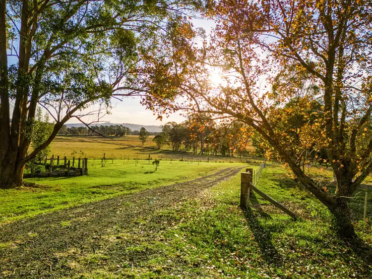 68 Peacock Creek Road, Bonalbo NSW 2469