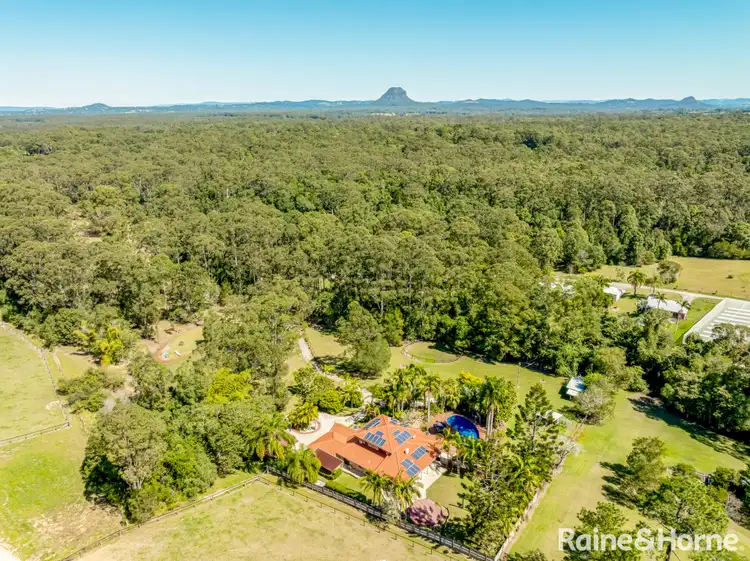 19 Hessen Place, Ringtail Creek QLD 4565