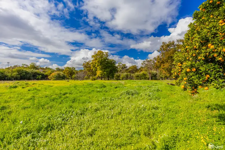 Seventh view of Homely land listing, 124 Paterson Street, Mundijong WA 6123