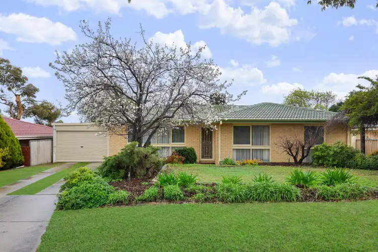 12 Kurrali Street, Surrey Downs SA 5126