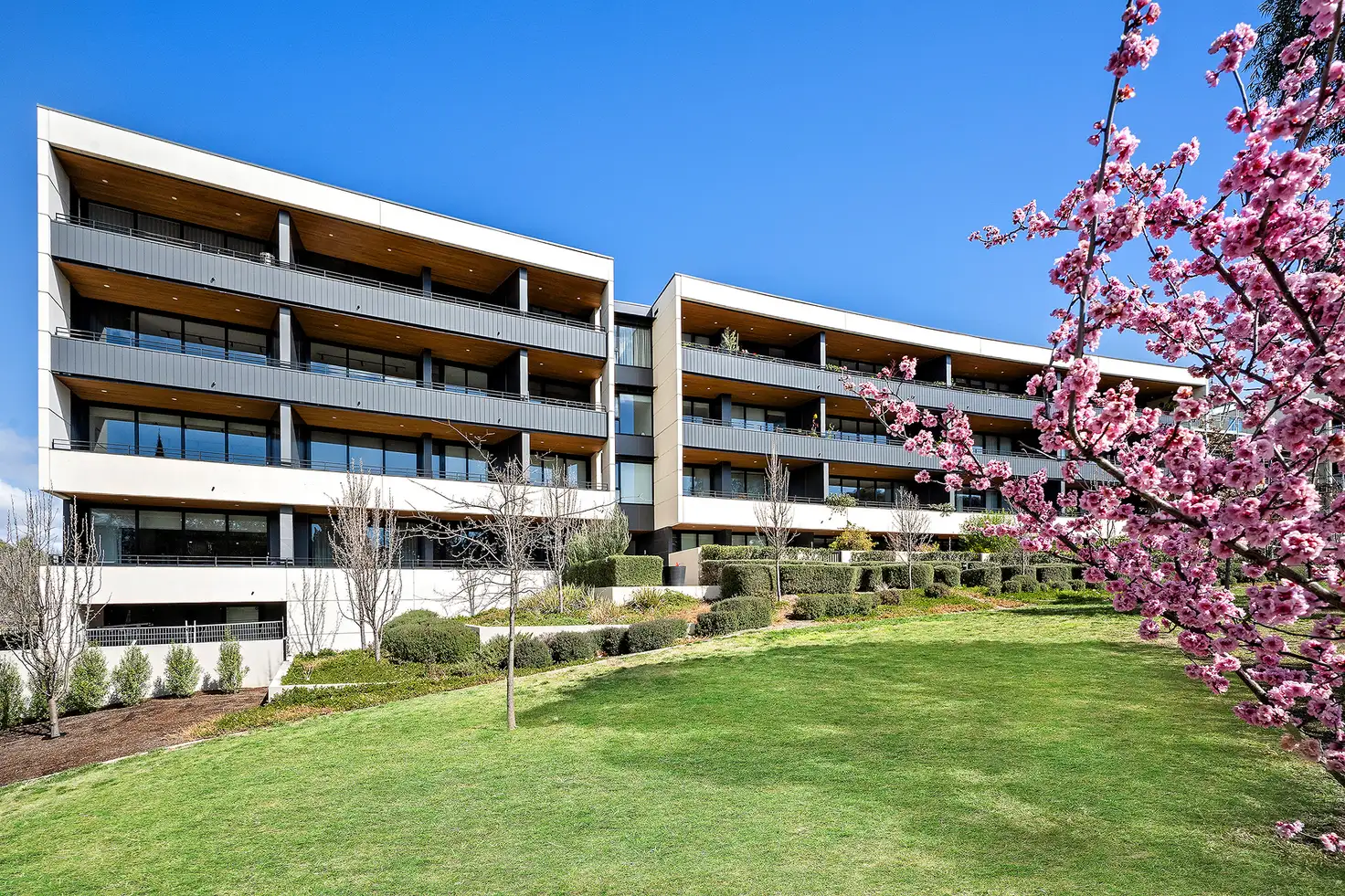 Main view of Homely apartment listing, 60/7 State Circle, Forrest ACT 2603