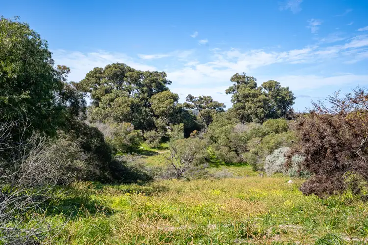 Sixth view of Homely land listing, 104 Peppermint Grove Terrace, Peppermint Grove Beach WA 6271