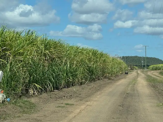 Sixth view of Homely rural property listing, 218 Oats Road, Fredericksfield QLD 4806