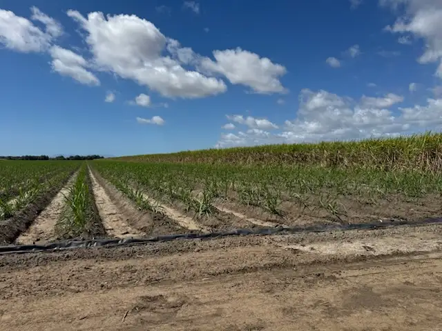 Seventh view of Homely rural property listing, 218 Oats Road, Fredericksfield QLD 4806