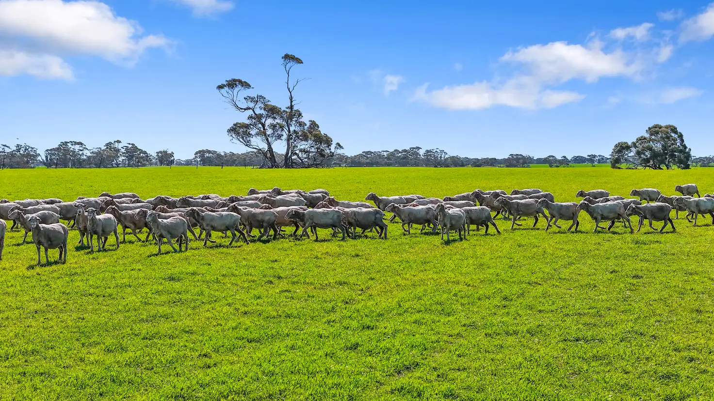 Main view of Homely rural property listing, 378 Jones Road, Yumali SA 5261