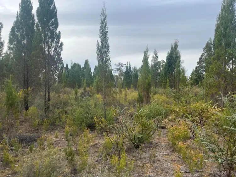 Second view of Homely land listing, 134 Hawkins Lane, Coonabarabran NSW 2357