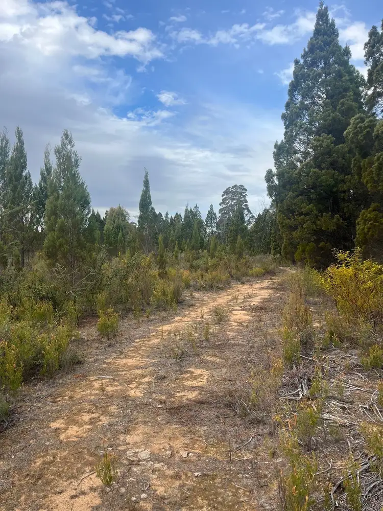 Third view of Homely land listing, 134 Hawkins Lane, Coonabarabran NSW 2357