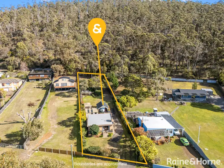 Fifth view of Homely house listing, 19 Tasman Highway, Orford TAS 7190