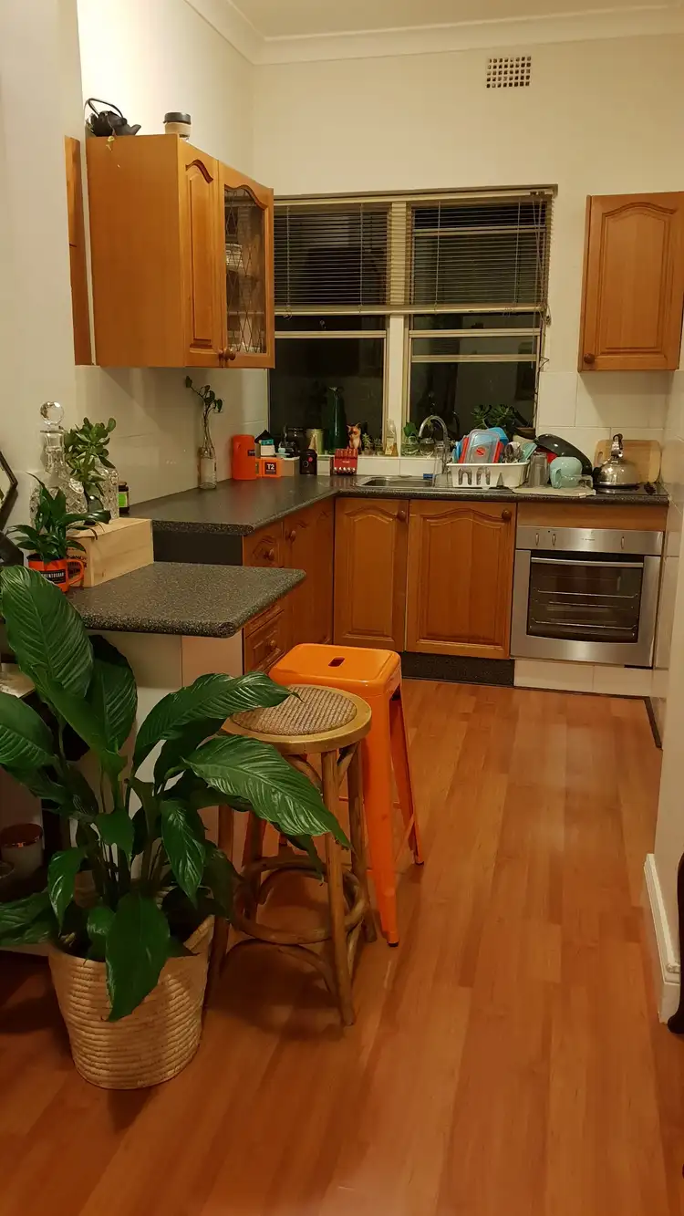 Second view of Homely apartment listing, 2/120 Crystal Street, Petersham NSW 2049