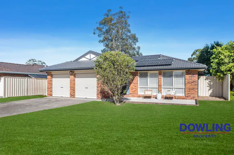 19 Mountain Ash Close, Medowie NSW 2318