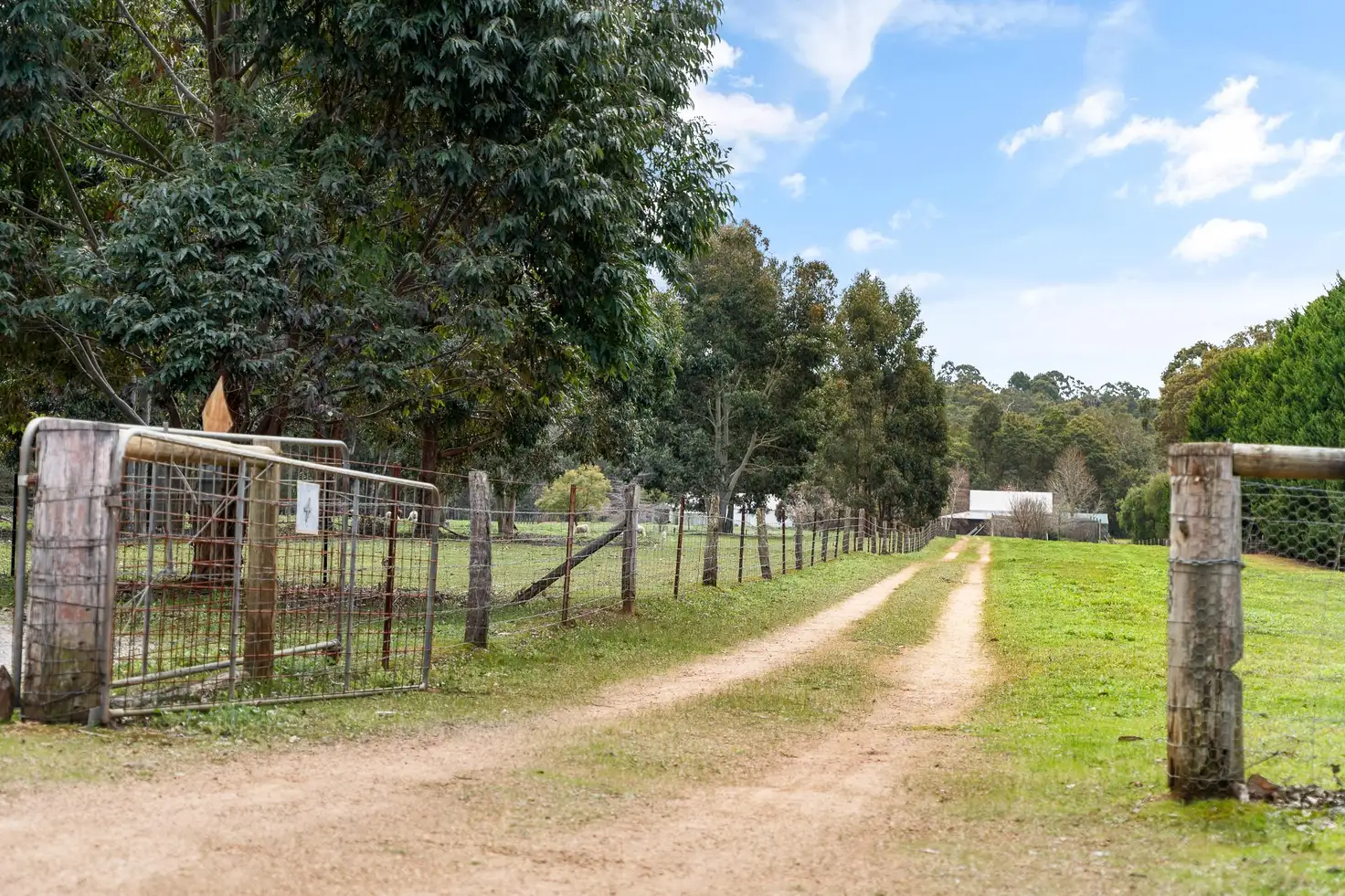 Main view of Homely house listing, 94 King Road, Jalbarragup WA 6275
