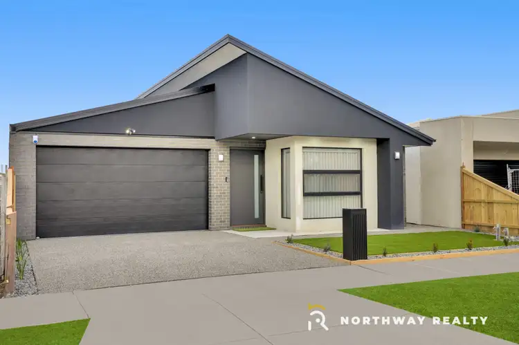 Second view of Homely house listing, 16 Nigella Road, Mickleham VIC 3064