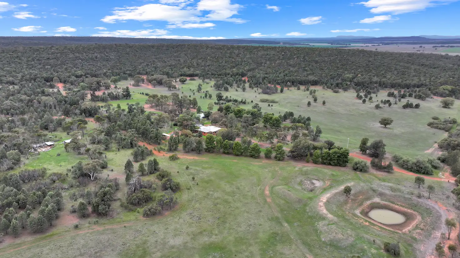 Main view of Homely rural property listing, 1911 Cannards Lane, Binya NSW 2665