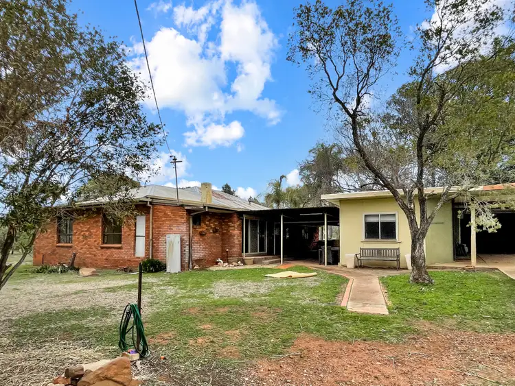 Fifth view of Homely rural property listing, 1911 Cannards Lane, Binya NSW 2665