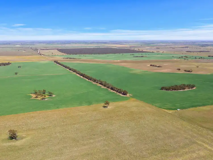 Second view of Homely rural property listing, 769 - 770 Heym Road, Sherlock SA 5301