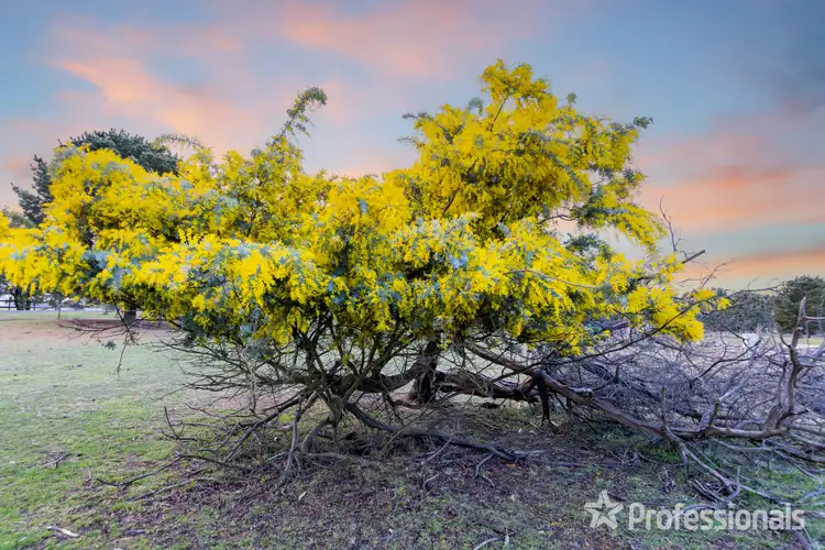 Seventh view of Homely rural property listing, 108 Blakeville Road, Ballan VIC 3342