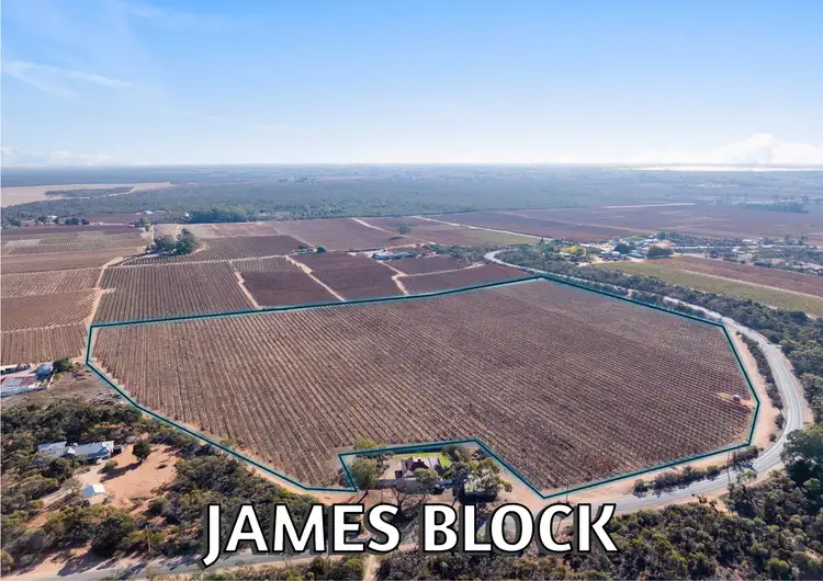 Lt1 Dalziel Road, Winkie SA 5343