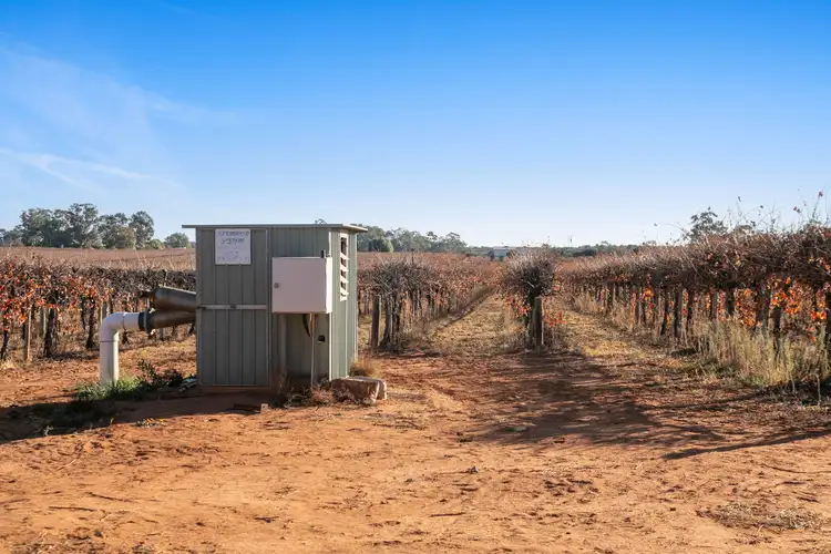 Fifth view of Homely rural property listing, Lt1 Dalziel Road, Winkie SA 5343
