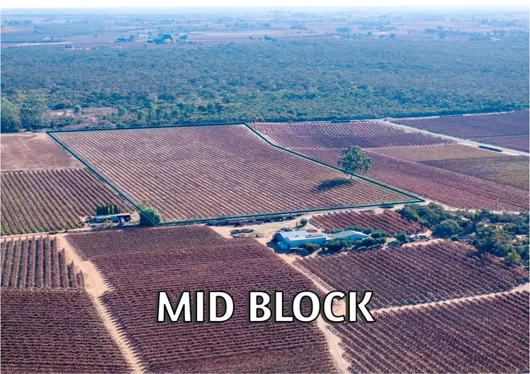 Lt 192 Puddletown Road, Winkie SA 5343