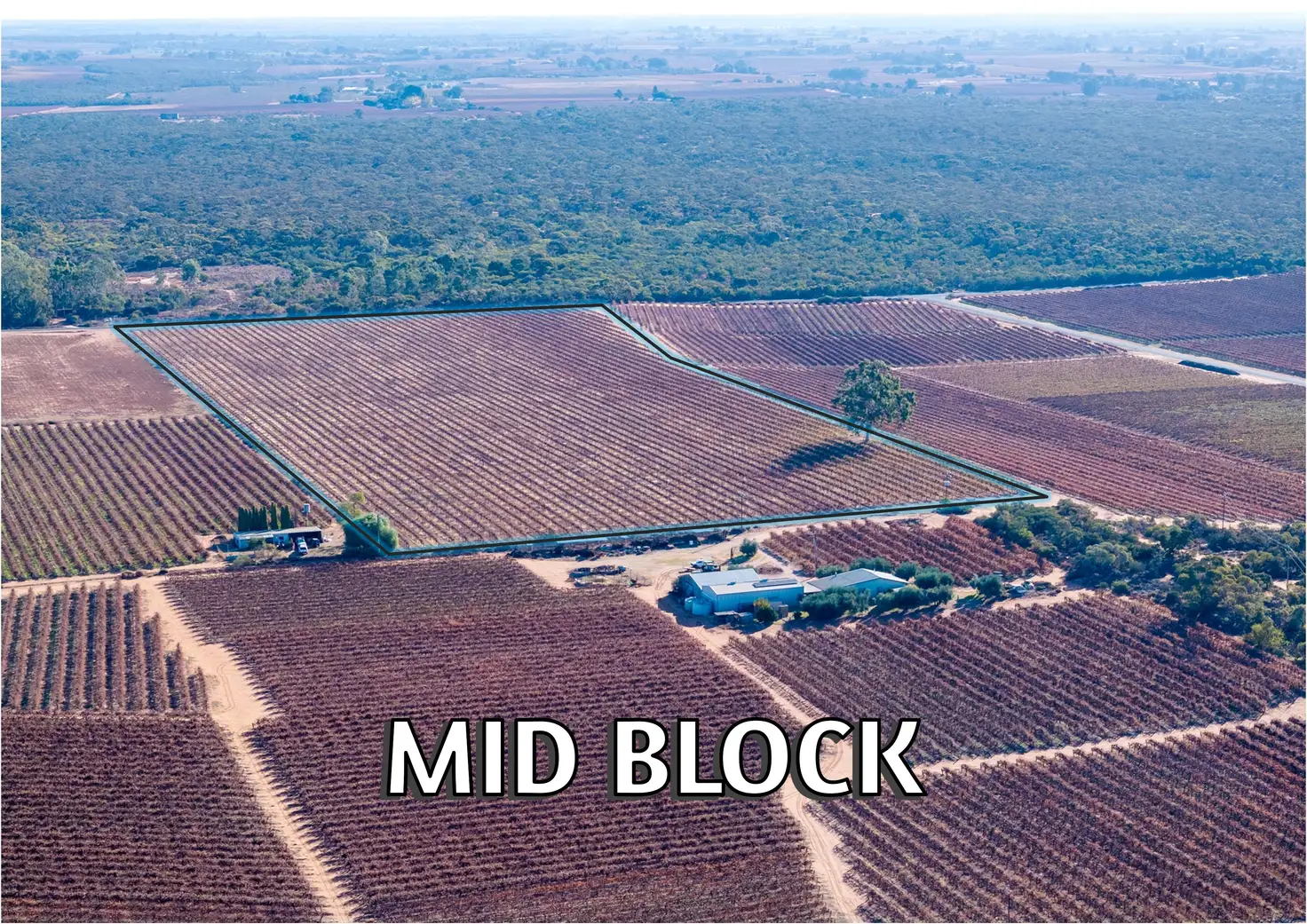 Main view of Homely rural property listing, Lt 192 Puddletown Road, Winkie SA 5343