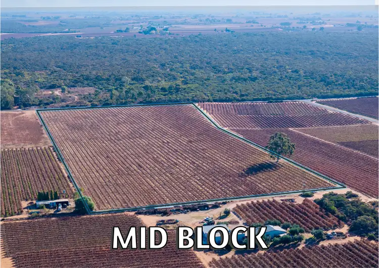 Second view of Homely rural property listing, Lt 192 Puddletown Road, Winkie SA 5343