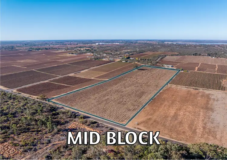 Third view of Homely rural property listing, Lt 192 Puddletown Road, Winkie SA 5343