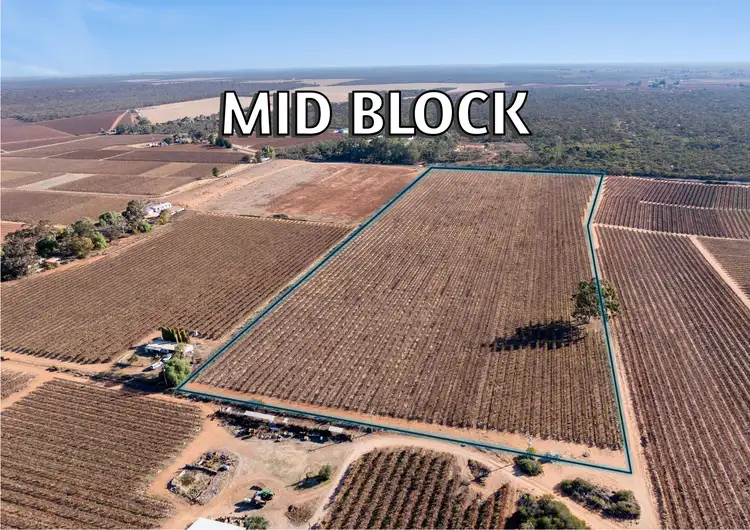 Fourth view of Homely rural property listing, Lt 192 Puddletown Road, Winkie SA 5343