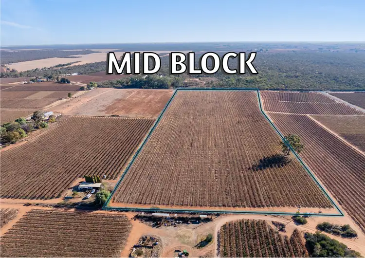 Fifth view of Homely rural property listing, Lt 192 Puddletown Road, Winkie SA 5343