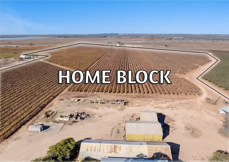 Second view of Homely rural property listing, 277 Winkie Road, Winkie SA 5343