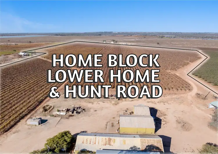 277a Winkie Road, Winkie SA 5343
