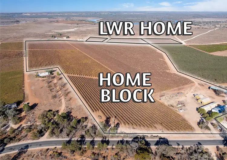 Second view of Homely rural property listing, 277a Winkie Road, Winkie SA 5343