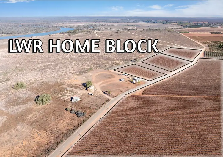 Fourth view of Homely rural property listing, 277a Winkie Road, Winkie SA 5343