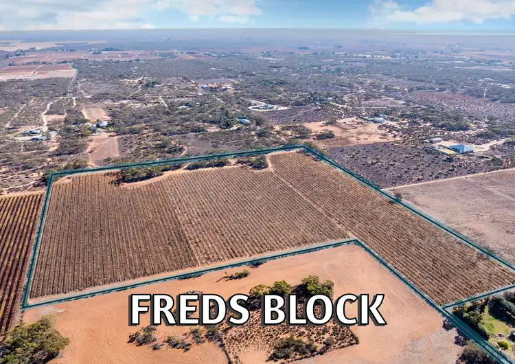 L151 Winkie Road, Winkie SA 5343