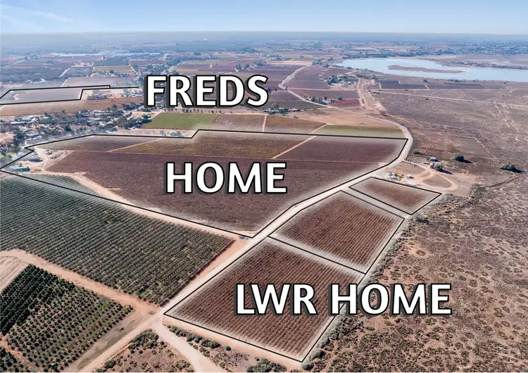 Third view of Homely rural property listing, L151 Winkie Road, Winkie SA 5343