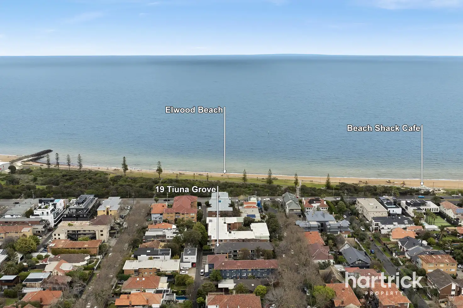 Main view of Homely apartment listing, 12/19 Tiuna Grove, Elwood VIC 3184